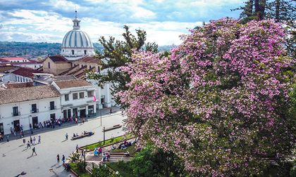 Ofrecen recompensa por atentado en Popayán