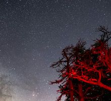 La búsqueda de vida más allá de la Tierra