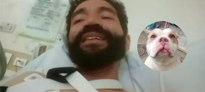 Imagen de De Cronos a Drako: el giro inesperado en la historia del perro fiel que conmovió al Oriente