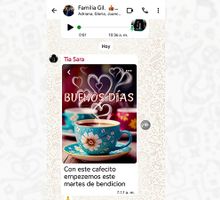 Manual para sobrevivir al grupo de WhatsApp familiar