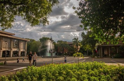Imagen de  Nuevo rector de la UdeA se definirá el 24 de junio tras aplazamiento del CSU