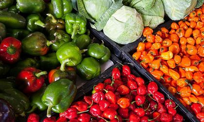 El sector Agricultura, protagonista de la reactivación económica