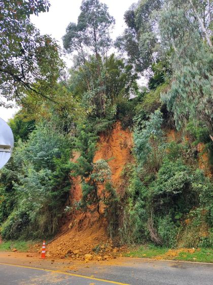 Imagen de  En video: cierre total de la vía La Ceja-Don Diego por deslizamiento y caída de árbol