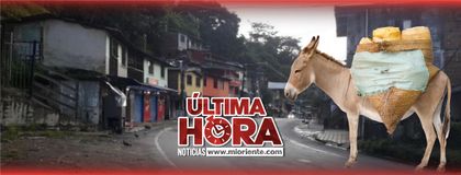 Imagen de  Ataque del ELN con burro cargado de explosivos en Valdivia dejó un soldado muerto y dos heridos