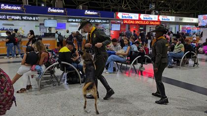 Imagen de La Policía Nacional refuerza controles contra el tráfico de fauna silvestre durante la Semana Mayor en Antioquia