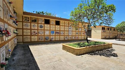 Imagen de Siete cuerpos no identificados fueron recuperados por la Unidad de Búsqueda en San Luis