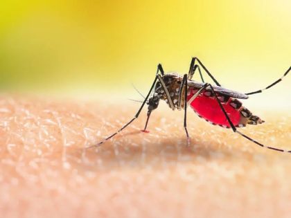 Imagen de  Aumentaron los casos de dengue en Colombia. En Antioquia van cinco muertes
