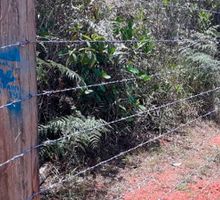 Apoyo a cuencas hidrográficas