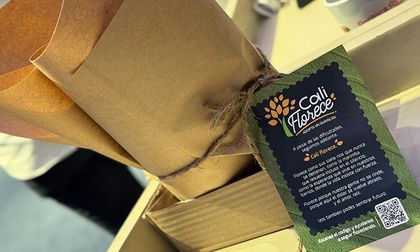 “Cali florece”: la campaña del Concejo invita a sembrar guayacanes contra la violencia