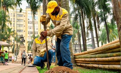 Cerrarán durante 15 días la Plaza de Cayzedo, vea por qué