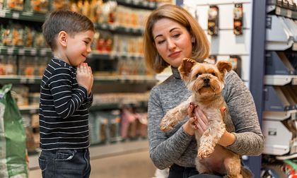 Los riesgos de la compra de mascotas en tiendas