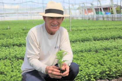 Imagen de  Cultivos de flores del Oriente adquirieron 6.600 vacunas para inmunizar a sus empleados