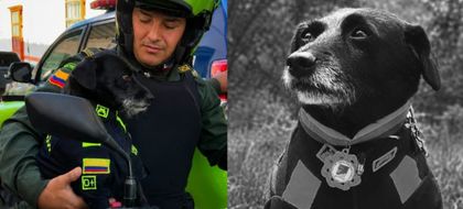 Imagen de  ¡Gracias por tanto, Barbas! Policía y comunidad le harán homenaje este sábado al perrito patrullero