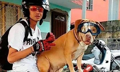 Encontraron al hombre que maneja moto con su perro en Envigado, esto dijo sobre el video