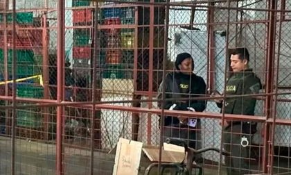 Otra cabeza cortada en Tuluá, van tres en menos de un mes; vea qué se sabe de este crimen
