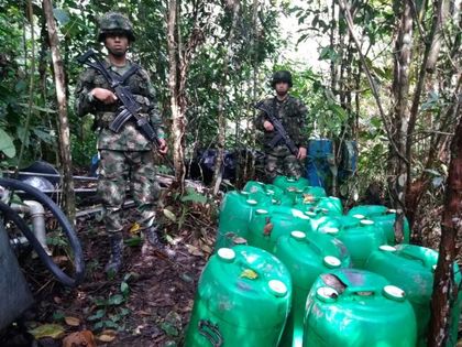 Destruyen laboratorio de coca en Alejandría
