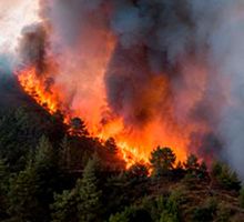 Provocar un incendio forestal en Colombia puede tener consecuencias penales, ambientales y policivas