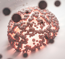Adhesión bacteriana reduce la gravedad de algunas bacteriemias