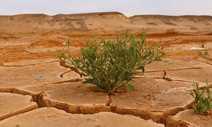 El impacto del cambio climático en la salud humana