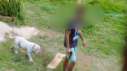 Imagen de  “Maltrata animales y amenaza a vecinos”: denuncian a peruano que tendría criadero en Rionegro