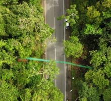 En la vía Buga – Buenaventura instalan pasos de fauna silvestre para proteger la vida animal en Yotoco