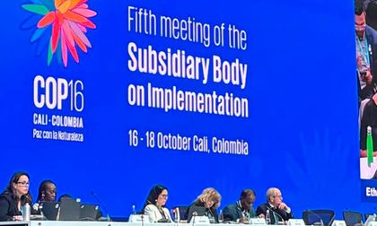 Colombia anuncia el lanzamiento de su Plan de acción nacional de biodiversidad actualizado en la COP16