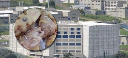 Imagen de  ¿Crisis en la cárcel El Pedregal? Diez casos de tuberculosis y denuncias por presunta inseguridad alimentaria