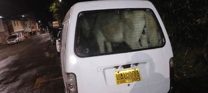 Imagen de Comparendo por maltrato animal para hombre que tenía encerrado a un burro en una miniván en El Peñol