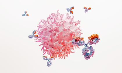 Lupus: cuando el sistema inmune, protector de nuestra salud, se convierte en adversario