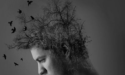 ¿Cómo las emociones atrapadas se alojan en tus órganos?