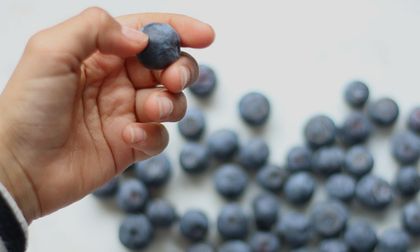 La magia de los arándanos: la fruta que protege al cuerpo del envejecimiento