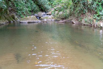 Imagen de Fenómeno de El Niño reduciría las lluvias en Antioquia hasta un 30 %. EPM pide ahorrar agua