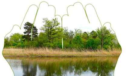 Tebu: representación y valor para la conservación a largo plazo