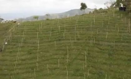 Gobernadora del Valle exige entrega de tierras a campesinos