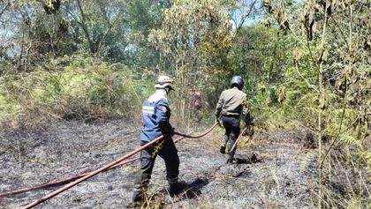 Imagen de  Controlaron incendio de cobertura vegetal en Guarne