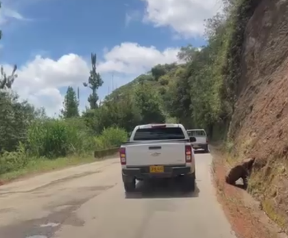 Imagen de  Alcaldía de Sonsón e Invías realizarán intervención en la vía La Unión – Sonsón