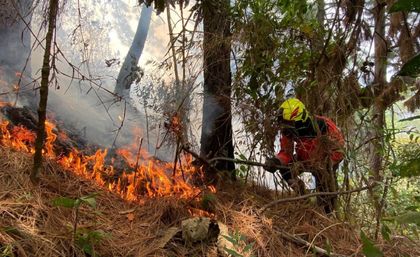 Imagen de  Autoridades inician recomendaciones por posibles incendios forestales en enero de 2025