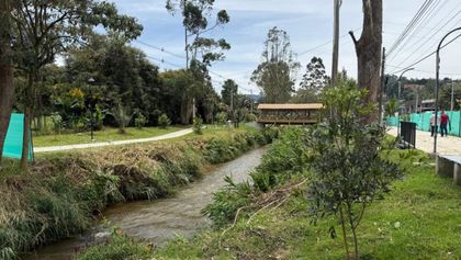 Imagen de Bosques Urbanos en El Retiro avanza con inversión de $11 600 millones y siembra de 1 800 árboles