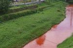 Imagen de Inspeccionan extraña coloración en la quebrada La Marinilla