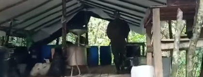 Imagen de  En San Francisco fue desmantelado un laboratorio de clorhidrato de cocaína