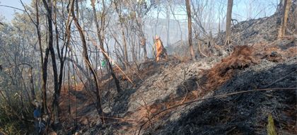 Imagen de Tres incendios forestales azotaron este martes a San Vicente Ferrer, uno permanece activo