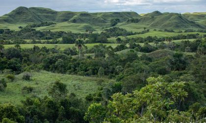 Priorizan proyectos ambientales en presupuesto del 2027