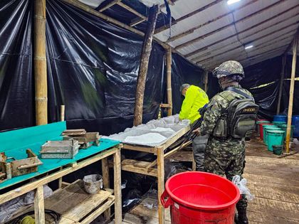 Imagen de Ejército incautó más de 2.572 kilos de estupefacientes en un laboratorio del Clan del Golfo en El Peñol