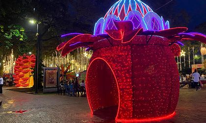 Todo lo que debe saber sobre el alumbrado navideño 2025 en Cali: fechas, lugares y novedades