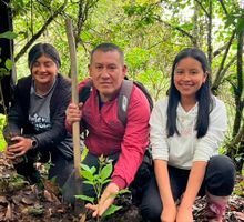 Impulsan reforestación en Macizo Colombiano