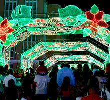 El alumbrado navideño de Cali estará encendido hasta el 31 de diciembre