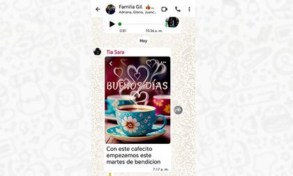 Manual para sobrevivir al grupo de WhatsApp familiar