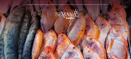 Imagen de  ¿Va a consumir pescado en Semana Santa? Estas son las recomendaciones para hacerlo sin riesgos
