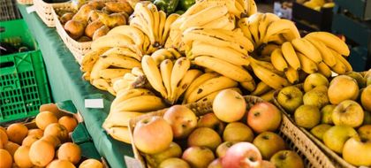 Imagen de  MinAgricultura implementa plan de acción ante bloqueos viales durante paro de transportadores
