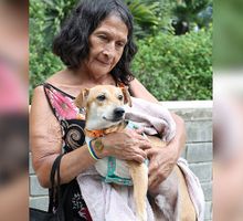 ¿Perdió a su mascota tras el terremoto en Cali? Cerca de 181 permanecen en el Centro de Bienestar Animal